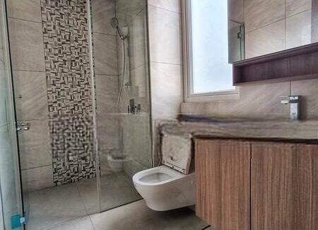 Brand-New-Freehold-3-Storey(11)_2025-05-28_14-53-32