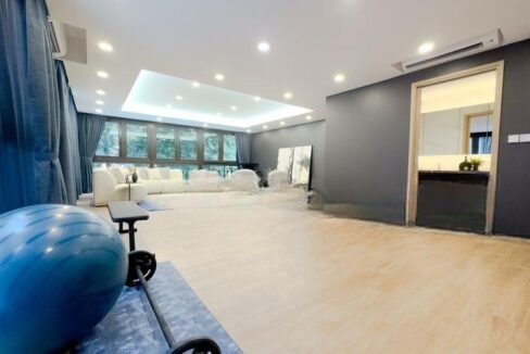 ❤️Beautiful-Brand-New-Detached-Near-MRT!❤️-(8)_2025-05-20_16-31-23